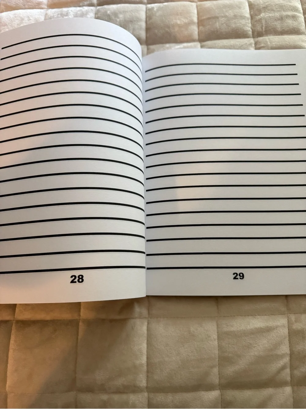LOW VISION Bold Paper Notebooks Lot of 2  NWT